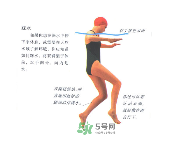 游泳怎么踩水？游泳踩水技巧圖解