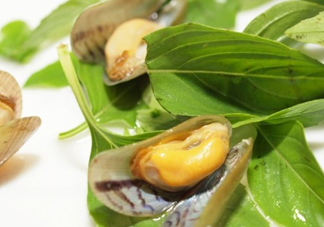 薄殼怎么讀？薄殼怎么洗干凈