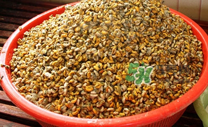 薄殼有寄生蟲嗎？薄殼米怎樣保鮮