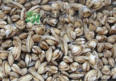 海瓜子煮多久能熟？海瓜子為什么放在水里殼不張開