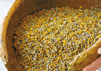 薄殼多少錢一斤？薄殼米多少錢一斤？