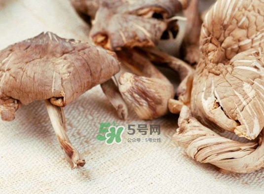 雞樅菌怎么讀？雞樅菌怎么做好吃？