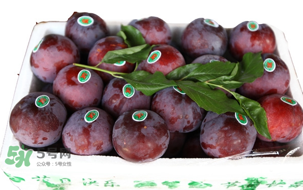 黑布林什么季節(jié)成熟？黑布林什么時(shí)候上市？