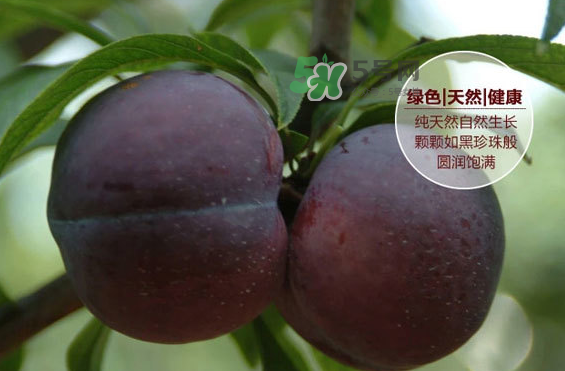 黑布林什么時(shí)候吃最好？黑布林什么人不能吃？