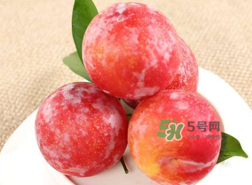 紅布林孕婦可以吃嗎？孕婦可以吃紅布林嗎？