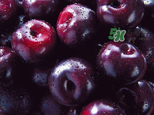 黑布李多少錢一斤？黑布李和紅布李哪個(gè)貴？