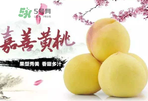嘉善黃桃多少錢一斤？嘉善黃桃的上市時(shí)間