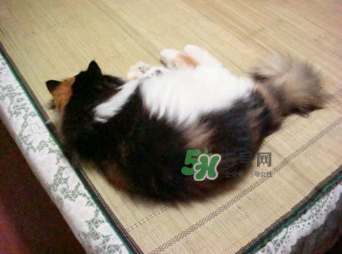 三伏天可以睡涼席嗎？三伏天睡涼席好嗎？