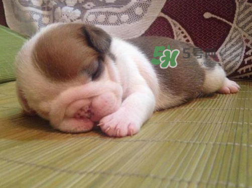 三伏天可以睡涼席嗎？三伏天睡涼席好嗎？