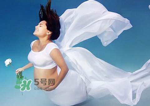 家里有寵物狗對(duì)孕婦好嗎？懷孕了家里有寵物要緊嗎？