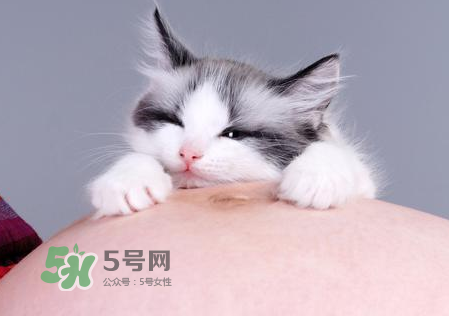 孕婦被貓抓了怎么辦？孕婦被貓抓傷了對(duì)寶寶有什么影響？