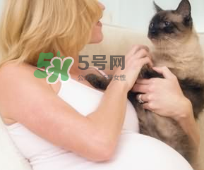 孕婦被貓抓了怎么辦？孕婦被貓抓傷了對(duì)寶寶有什么影響？