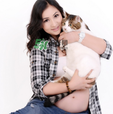 孕婦被貓抓了怎么辦？孕婦被貓抓傷了對(duì)寶寶有什么影響？