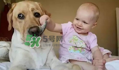 寵物對嬰兒的影響 寵物對嬰兒的危害有哪些？