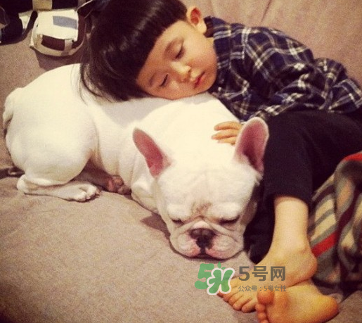 寵物對嬰兒的影響 寵物對嬰兒的危害有哪些？