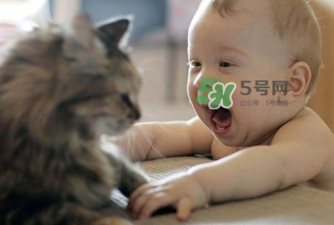 嬰兒被貓抓了怎么辦？嬰兒被貓咪咬了怎么辦？