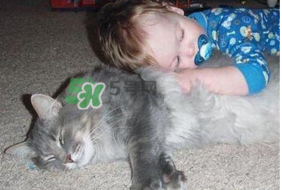 嬰兒被貓抓了怎么辦？嬰兒被貓咪咬了怎么辦？