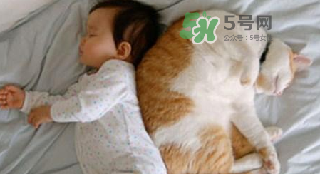 嬰兒被貓抓了怎么辦？嬰兒被貓咪咬了怎么辦？