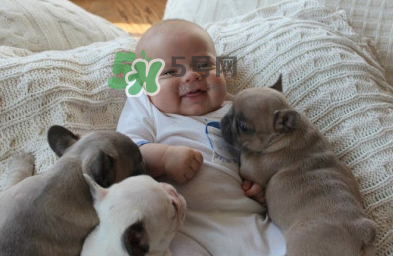 嬰兒被貓抓了怎么辦？嬰兒被貓咪咬了怎么辦？