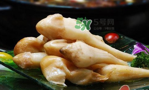 雞樅菌什么時候有？雞樅菌生長在什么地方