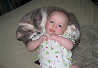 嬰兒被貓抓了怎么辦？嬰兒被貓咪咬了怎么辦？