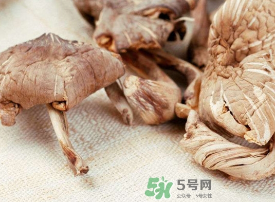 雞樅菌有毒嗎？雞樅菌不能和什么一起吃？