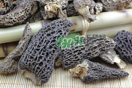 羊肚菌最大產(chǎn)地是哪兒？羊肚菌怎么泡發(fā)