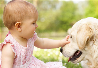 寵物對(duì)嬰兒的影響 寵物對(duì)嬰兒的危害有哪些？