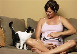 孕婦被貓抓了怎么辦？孕婦被貓抓傷了對寶寶有什么影響？