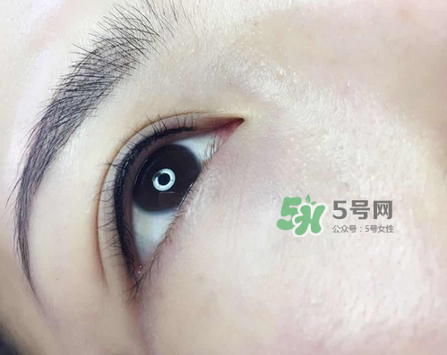 美瞳線有幾種款式？美瞳線有小尾巴嗎？