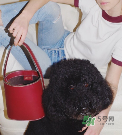 staud水桶包多少錢？staud水桶包專柜價格