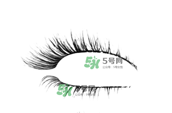 種睫毛會(huì)掉自己睫毛嗎？種睫毛掉了還會(huì)長(zhǎng)嗎？