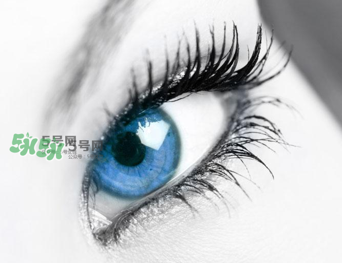 種睫毛會(huì)掉自己睫毛嗎？種睫毛掉了還會(huì)長(zhǎng)嗎？