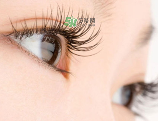 種睫毛可以化妝嗎?種睫毛能化妝嗎? 種睫毛可以化妝嗎?種睫毛能化妝嗎?