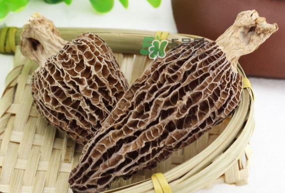 羊肚菌為什么那么貴？羊肚菌為什么這么貴