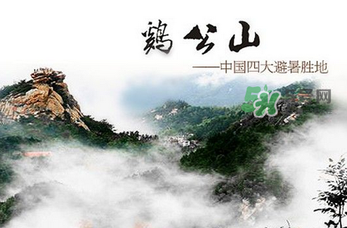 夏天去哪里旅游最好？夏天旅游哪里涼快？