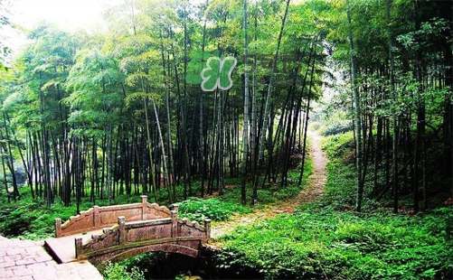 夏天去哪里旅游最好？夏天旅游哪里涼快？