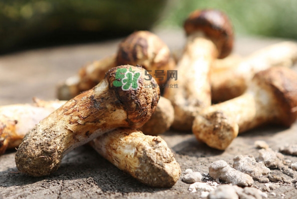 新鮮松茸怎么吃？松茸怎么吃最有營養(yǎng)