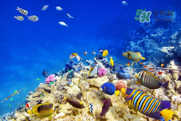 夏天去哪里旅游最好？夏天旅游哪里涼快？