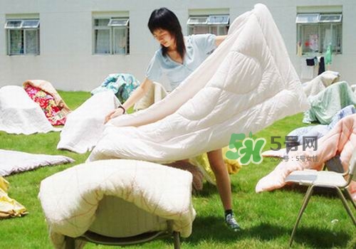 三伏天能曬被子嗎？三伏天曬被子好嗎？
