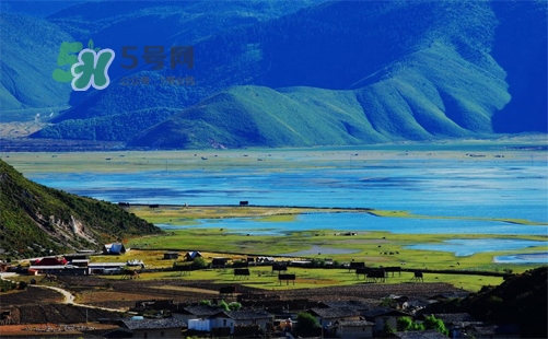 夏天去哪里旅游最好？夏天旅游哪里涼快？