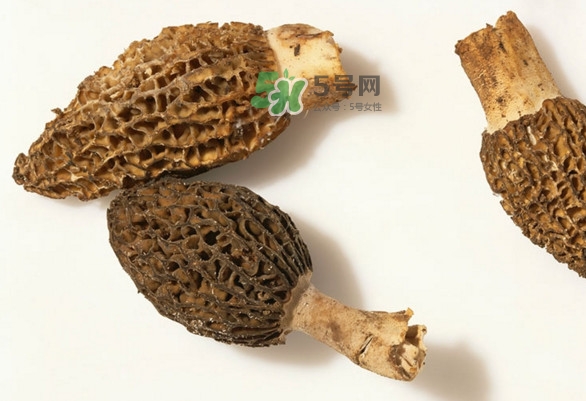 羊肚菌可以泡茶喝嗎？羊肚菌可以生吃嗎