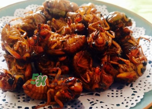 知了和蝦能一起吃嗎？知了猴能和蝦一起吃嗎？