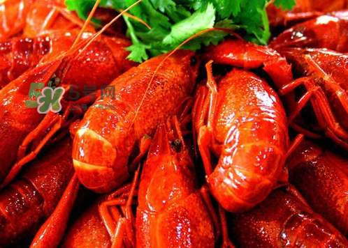 孕婦能吃麻辣小龍蝦嗎？吃麻辣小龍蝦會流產(chǎn)嗎？