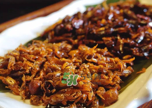 知了猴可以帶上飛機(jī)嗎？知了猴能帶上飛機(jī)嗎？