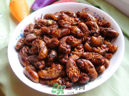 知了猴可以帶上飛機(jī)嗎？知了猴能帶上飛機(jī)嗎？