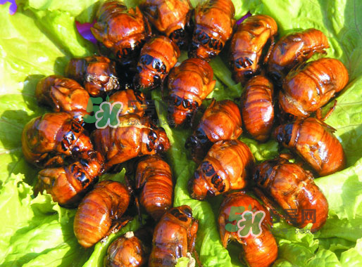 知了猴什么味道？知了猴好吃嗎？