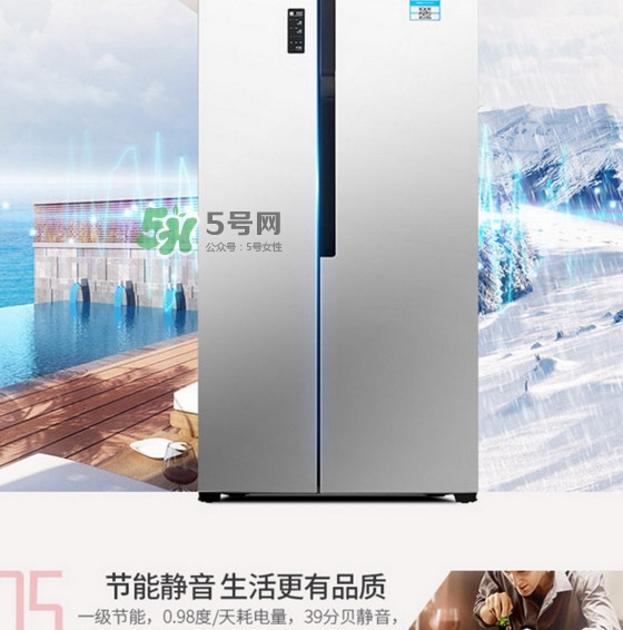 冰箱究竟該買(mǎi)幾個(gè)門(mén)的？什么牌子的冰箱最好