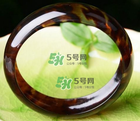 玳瑁是什么？玳瑁是國(guó)家保護(hù)動(dòng)物嗎？