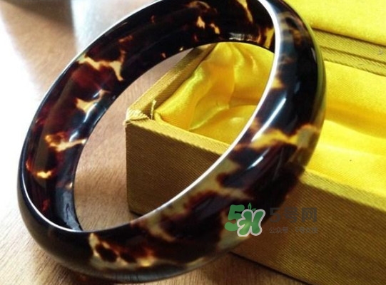 玳瑁標(biāo)本有收藏價(jià)值嗎？玳瑁的功效與作用